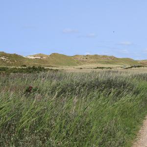 20250609114044-00.jpg